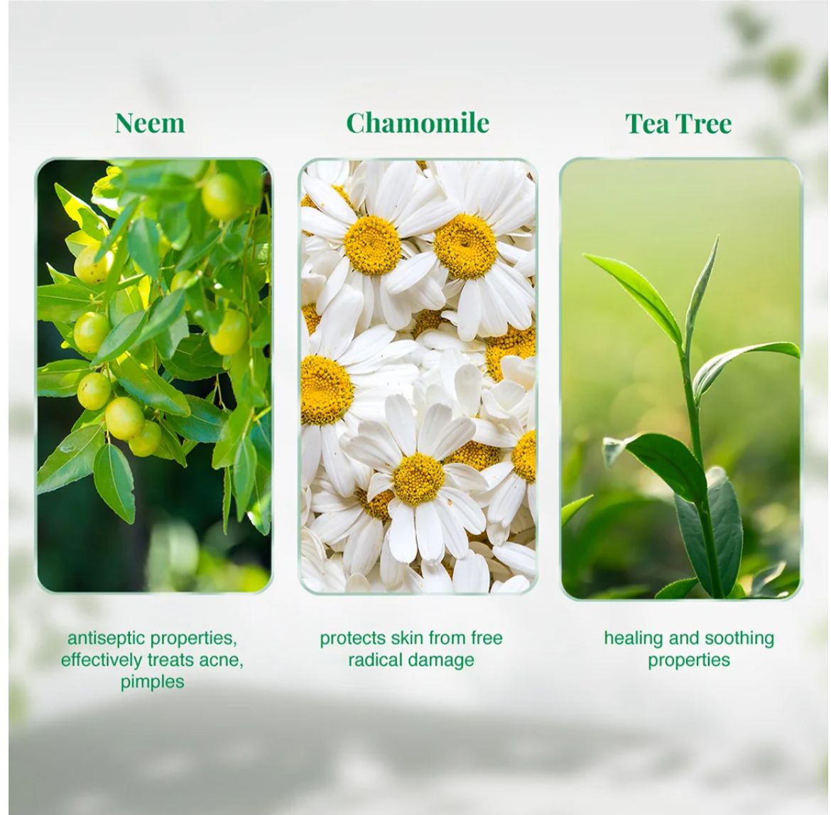 Himalaya Purifying Neem Face Wash | 100 ml - Image 2